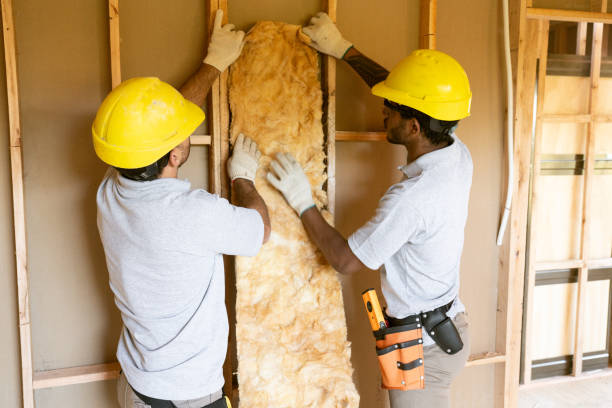 Best Attic Insulation Installation  in Arp, TX